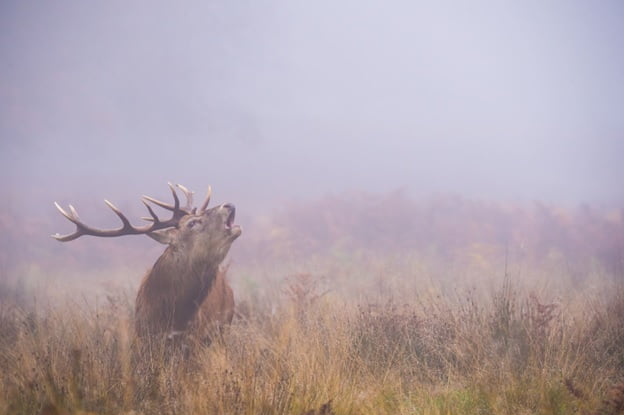 Testimonials Testimonials