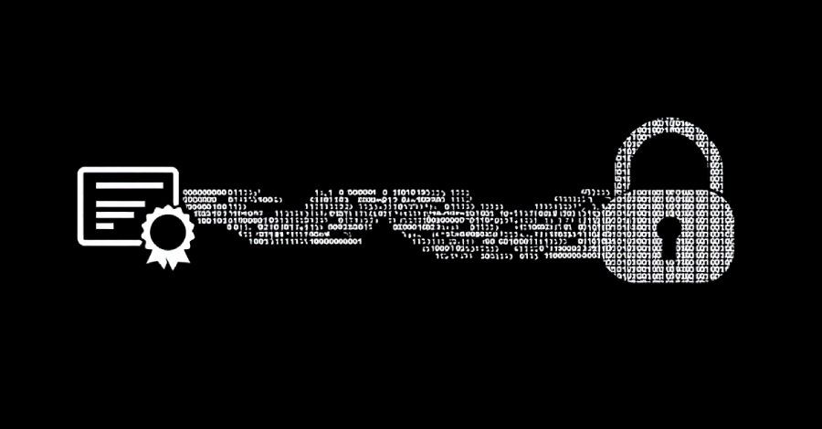 Cyber News &#038; Articles