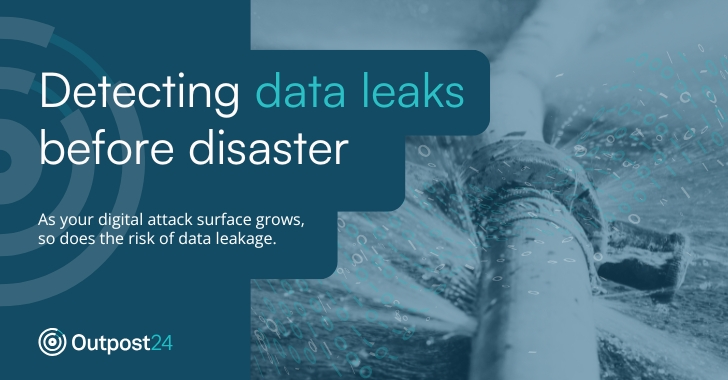 Detecting Data Leaks Before Disaster 
